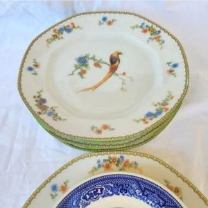 Vintage MZ Altrohlau Golden Pheasant Luncheon plates set of 6 - 8 1/2"